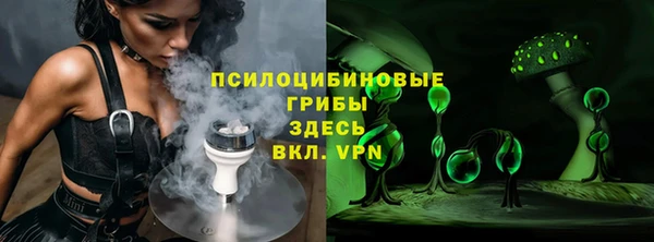 шишки Абинск
