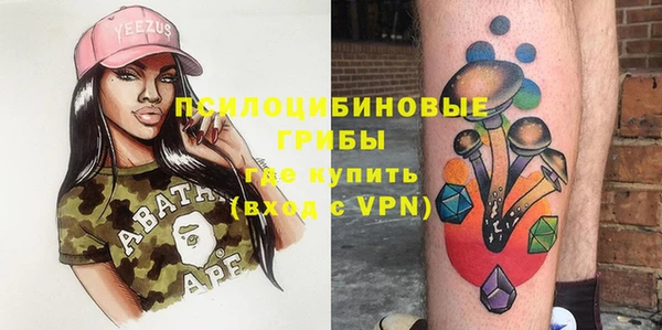 шишки Абинск