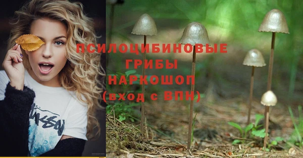COCAINE Михайлов